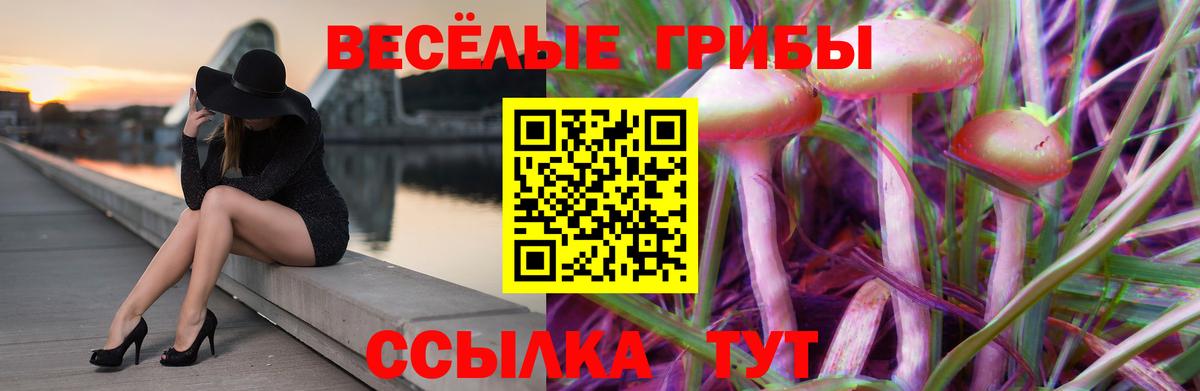 Галлюциногенные грибы Cubensis Дубна